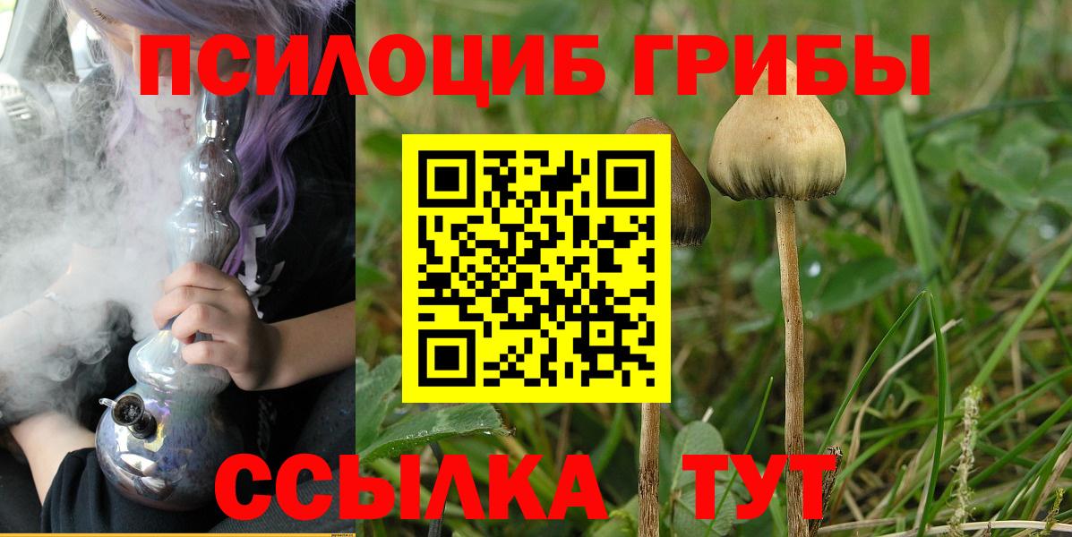 Галлюциногенные грибы MAGIC MUSHROOMS  Вход с VPN  Анапа 